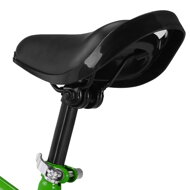 Dječji bicikl bez pedala QUIDO, od 3 godine, zelena