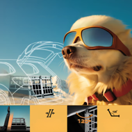 Transportni boks za pse BRUNO, 89x70x51 cm, srebrna/crna