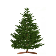 Umjetni božićni bor FROST, 150 cm, zeleni