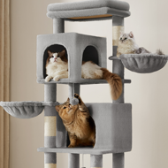 Mačji stablo TRISTAN, 57x45x175 cm, siva