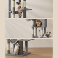 Mačji stablo TRISTAN, 57x45x175 cm, siva