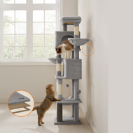Mačji stablo TRISTAN, 57x45x175 cm, siva