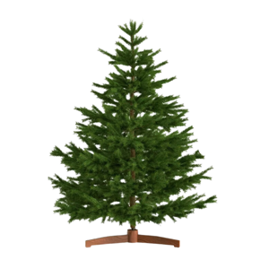 Umjetni božićni bor FROST, 150 cm, zeleni