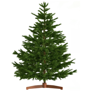 Umjetni božićni bor FROST, 180 cm, zeleni