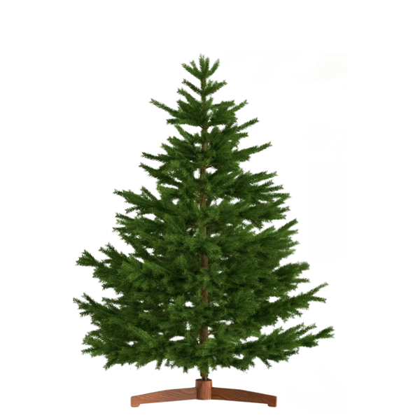 Umjetni božićni bor FROST, 150 cm, zeleni